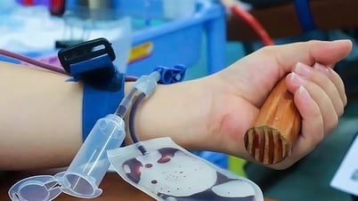 Giả danh Bệnh viện Truyền máu huyết học gọi điện người hiến máu để chiếm đoạt tài sản