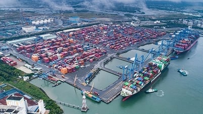 Nghiên cứu thành lập tổ chức phối hợp liên ngành tại địa phương về phát triển bền vững kinh tế biển