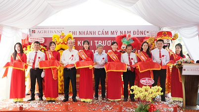 Agribank Nam Đồng Nai khai trương phòng giao dịch Sông Nhạn