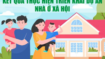 インフォグラフィック：社会住宅プロジェクトの実施結果