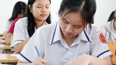 Gợi ý giải đề thi lớp 10 TP.HCM có trên Thanh Niên Online sau mỗi môn thi