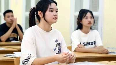 Đột ngột bỏ xét tuyển khối C: Các trường đại học có vi phạm quy chế thi?