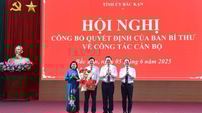 Mr. Dinh Quang Tuyen holds the position of Deputy Secretary of Bac Kan Provincial Party Committee.