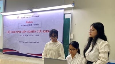 Trường Đại học Ngoại ngữ Đà Nẵng sôi nổi hoạt động nghiên cứu khoa học trong sinh viên