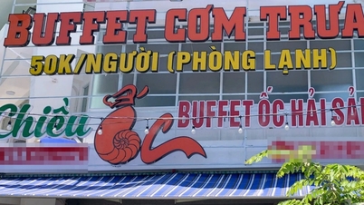 Vụ ăn buffet ốc, 7 người nhập viện: Phát hiện nhiều vi phạm