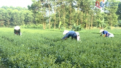 Xây dựng nông thôn mới ở Hải Hà