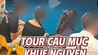 Vụ quảng bá du lịch “chui” ở Đà Nẵng: Nam TikToker lên tiếng