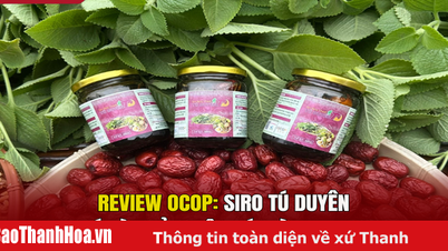 [مراجعة OCOP] شراب تو دوين - خلاصة الأعشاب من جبال وغابات نهو ثانه