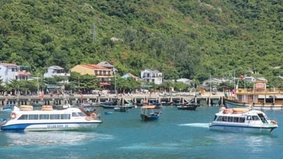 Cù Lao Chàm: Từ hòn đảo di sản đến vùng lõi sinh học ven biển
