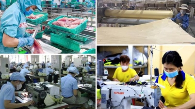 Kinh tế tư nhân: Gỡ rào cản - Giao trọng trách