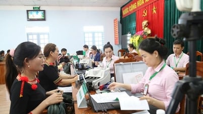 Sắp xếp, tổ chức các chi nhánh, phòng giao dịch Ngân hàng Chính sách xã hội bảo đảm hoạt động thông suốt, hiệu quả