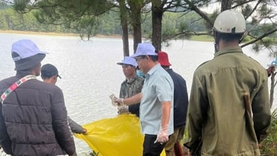 Phó Chủ tịch Lâm Đồng dọn rác, trồng cây tại hồ chứa nước Đan Kia