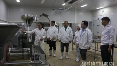 Kiểm tra an toàn thực phẩm lĩnh vực nông nghiệp tại huyện Cao Lộc