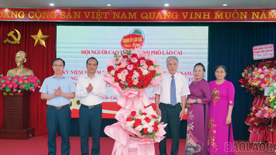 Hội Người cao tuổi thành phố Lào Cai tổng kết 24 năm hoạt động