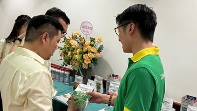 人間的な環境、PVFCCoの強固な基盤