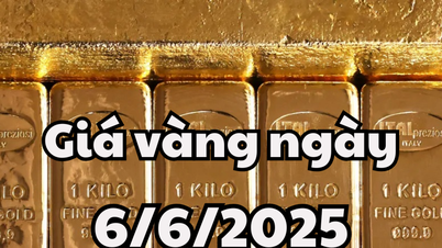 Tin tức giá vàng hôm nay 6/6/2025 biến động mạnh theo lời Tổng thống Trump