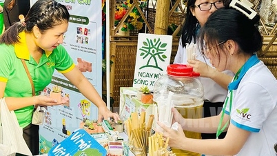 Chống ô nhiễm nhựa, lan tỏa lối sống xanh đến từng hộ gia đình
