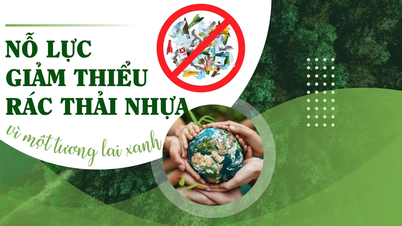 Nỗ lực giảm thiểu rác thải nhựa vì một tương lai xanh