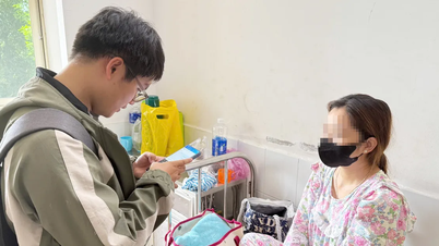 Vụ ngộ độc sau khi ăn ốc ở Phú Yên: Phát hiện bất cập, vi phạm về an toàn thực phẩm