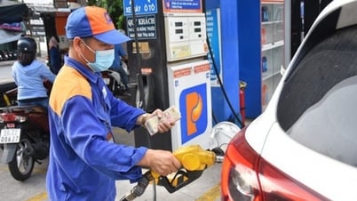 Giá xăng dầu hôm nay 5/6/2025: Xăng RON95 tăng 133 đồng/lít