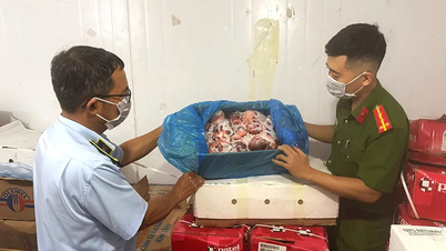 Quảng Bình: Phát hiện gần 4 tấn thực phẩm đông lạnh nhập lậu