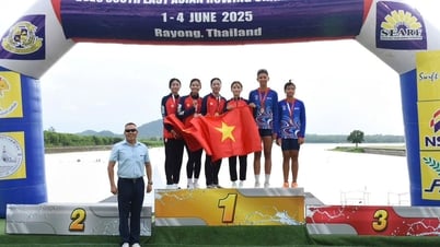 Bạc Liêu đoạt 2 HCV, 2 HCB tại Giải Rowing vô địch và vô địch trẻ Đông Nam Á năm 2025
