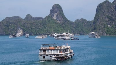 អ្នកទេសចរលោកខាងលិចមក Quang Ninh គ្រាន់តែជិះទូក ហើយចំណាយពេលមួយយប់នៅឈូងសមុទ្រ Ha Long រួចត្រឡប់ទៅផ្ទះវិញ។
