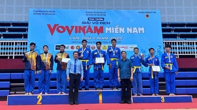 Giải Vô địch Vovinam miền Nam lần thứ 2 - năm 2025: Bạc Liêu đoạt 3 huy chương