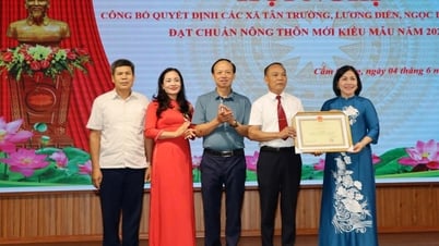 Địa phương có nhiều xã nông thôn mới kiểu mẫu nhất tỉnh Hải Dương