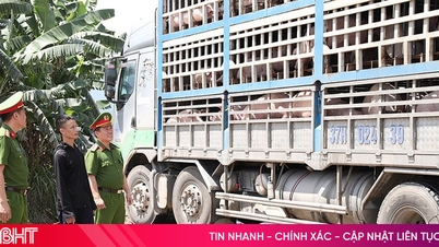 Hà Tĩnh quyết liệt trong cuộc chiến với thực phẩm bẩn