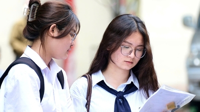 The reason why block C is gradually disappearing in university admissions