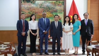 Thứ trưởng Hoàng Đạo Cương tiếp và làm việc với ứng cử viên Tổng giám đốc UNESCO