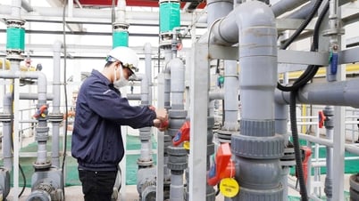 Zum Weltumwelttag am 5. Juni: Halten Sie die Umwelt grün und sauber