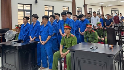Nhóm đối tượng lãnh án do liên quan đánh bạc