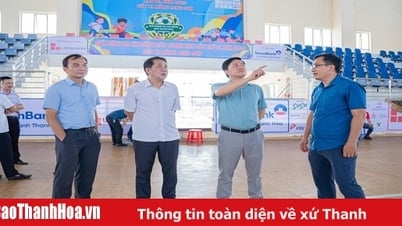 2025년 제4회 탄호아 신문 어린이 축구 대회, 롱손 시멘트 컵 준비 완료