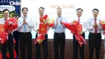 Công bố quyết định điều động, bổ nhiệm giám đốc Bảo hiểm xã hội khu vực XXIV