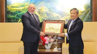 Quang Ninh Provincial Party Secretary received the Chairman of the Hungarian Socialist Party