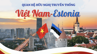 [Infographic] Quan hệ hữu nghị truyền thống Việt Nam-Estonia