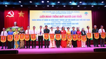 17 actuaciones destacadas en honor al Partido, al tío Ho y a la patria en el Festival de Canto de los Ancianos de la ciudad de Hai Phong 2025