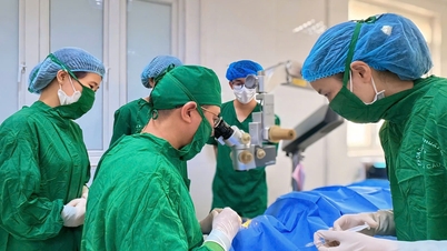 L'hôpital ophtalmologique de Hai Phong a rapidement pris en charge un cas de blessure pénétrante critique du globe oculaire