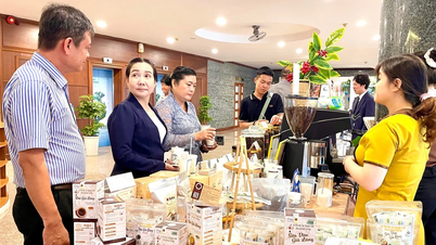 Hội nghị kết nối giao thương giữa doanh nghiệp tỉnh Gia Lai với doanh nghiệp nước ngoài
