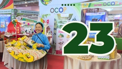 23 – so viele Verkaufsstellen gibt es derzeit in der gesamten Provinz, an denen OCOP-Produkte eingeführt und verkauft werden.