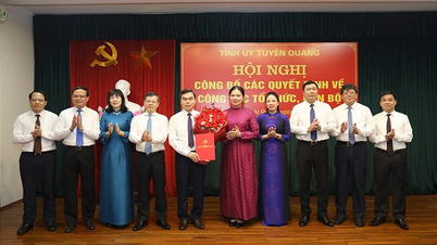 Đồng chí Ma Thế Hồng giữ chức Phó Bí thư Tỉnh ủy Tuyên Quang