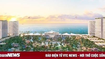Vũng Tàu đang thiếu gì để thành điểm đến vui chơi, nghỉ dưỡng cao cấp?