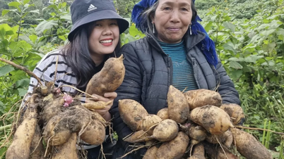 Chân dung cô gái 9X giúp bà con vùng cao đổi đời