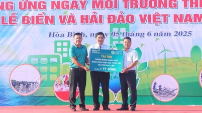 Bạc Liêu hưởng ứng Ngày Môi trường Thế giới năm 2025