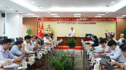 Binh Duong necesita más de 2,2 billones de VND de capital de inversión social