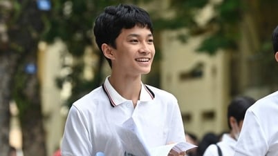 Đáp án tất cả các môn thi vào lớp 10 năm 2025 của tỉnh Bà Rịa - Vũng Tàu