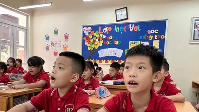 Hà Nội chi hơn 3.000 tỷ đồng hỗ trợ bữa ăn bán trú cho học sinh tiểu học