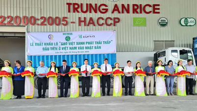 Lần đầu tiên xuất khẩu lô hàng “Gạo Việt xanh phát thải thấp” sang Nhật Bản